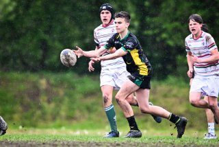 dsc_2643.jpg - JPEG - 402.5 ko - 2000×1334 px