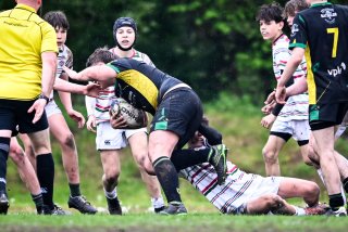 dsc_2657-2.jpg - JPEG - 463.4 ko - 2000×1332 px