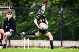 dsc_2660-3.jpg - JPEG - 387.8 ko - 2000×1333 px