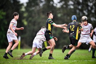 dsc_2689-2.jpg - JPEG - 421.8 ko - 2000×1333 px