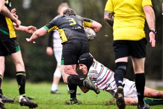 dsc_2691-2.jpg - JPEG - 389.5 ko - 2000×1333 px