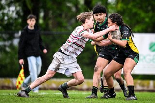 dsc_2698-2.jpg - JPEG - 432.8 ko - 2000×1334 px