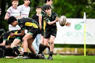 dsc_2710-4.jpg - JPEG - 424.8 ko - 2000×1333 px