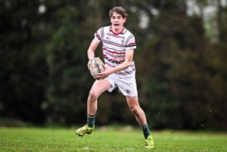 dsc_2729-3.jpg - JPEG - 310 ko - 2000×1332 px