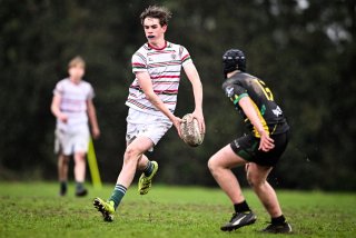 dsc_2735-2.jpg - JPEG - 328.7 ko - 2000×1335 px