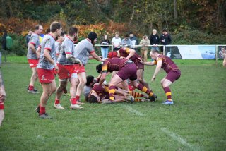 dsc_2739.jpg - JPEG - 481.8 ko - 2000×1333 px