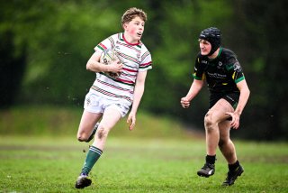 dsc_2742-2.jpg - JPEG - 348.5 ko - 2000×1334 px