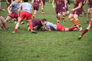 dsc_2745-2.jpg - JPEG - 337.3 ko - 2000×1325 px