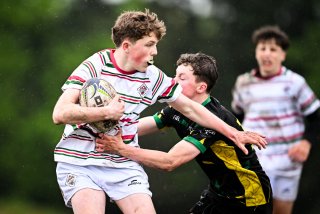 dsc_2746-2.jpg - JPEG - 357 ko - 2000×1332 px