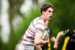 dsc_2762-3.jpg - JPEG - 275.1 ko - 2000×1333 px