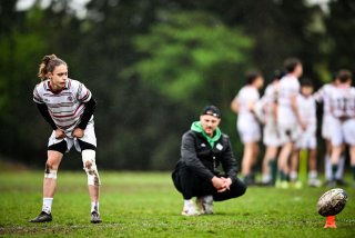 dsc_2777-4.jpg - JPEG - 319.7 ko - 2000×1333 px