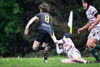 dsc_2792-3.jpg - JPEG - 366.7 ko - 2000×1332 px