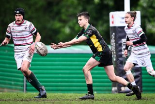 dsc_2800-2.jpg - JPEG - 403.9 ko - 2000×1332 px