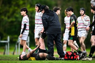 dsc_2824-2.jpg - JPEG - 386.9 ko - 2000×1336 px