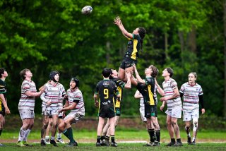 dsc_2830-3.jpg - JPEG - 458.8 ko - 2000×1334 px