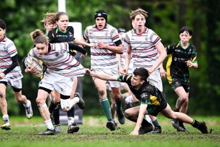 dsc_2839-5.jpg - JPEG - 492.4 ko - 2000×1333 px