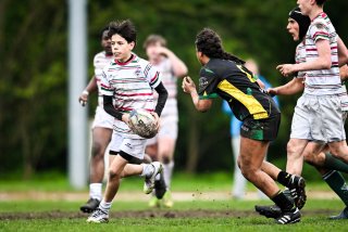 dsc_2848-2.jpg - JPEG - 383.7 ko - 2000×1332 px