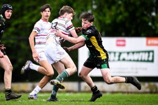 dsc_2869-3.jpg - JPEG - 377 ko - 2000×1332 px