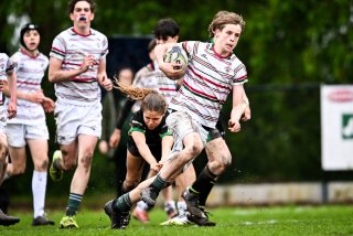 dsc_2888-2.jpg - JPEG - 388.7 ko - 2000×1334 px