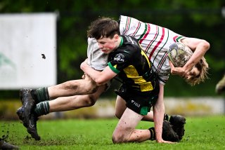 dsc_2899-2.jpg - JPEG - 366.7 ko - 2000×1332 px