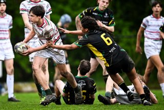 dsc_2901-3.jpg - JPEG - 438.1 ko - 2000×1335 px