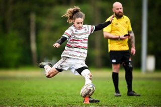 dsc_2915-2.jpg - JPEG - 330.3 ko - 2000×1333 px