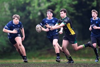 dsc_2928-3.jpg - JPEG - 344.8 ko - 2000×1334 px