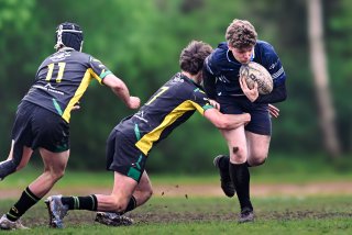 dsc_2942-5.jpg - JPEG - 360.4 ko - 2000×1337 px