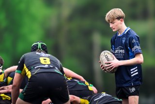 dsc_2948-4.jpg - JPEG - 279.6 ko - 2000×1333 px