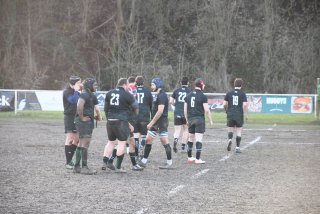 dsc_3089-3.jpg - JPEG - 421 ko - 2000×1333 px