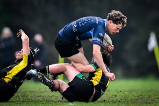 dsc_3102-3.jpg - JPEG - 365.1 ko - 2000×1332 px