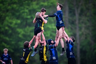 dsc_3108-6.jpg - JPEG - 314 ko - 2000×1333 px