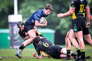 dsc_3144-3.jpg - JPEG - 370 ko - 2000×1333 px