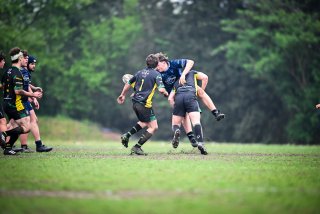 dsc_3148-5.jpg - JPEG - 311.6 ko - 2000×1333 px