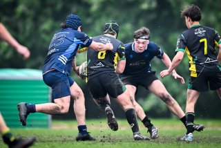 dsc_3198-4.jpg - JPEG - 433.2 ko - 2000×1332 px