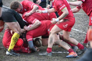 dsc_3231-3.jpg - JPEG - 477.1 ko - 2000×1333 px