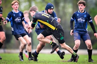 dsc_3246.jpg - JPEG - 371.2 ko - 2000×1334 px