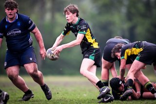 dsc_3264-3.jpg - JPEG - 332.9 ko - 2000×1333 px