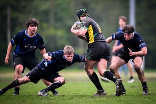 dsc_3269-2.jpg - JPEG - 341.6 ko - 2000×1333 px