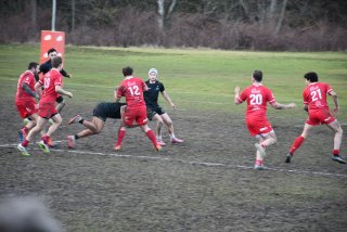 dsc_3343-2.jpg - JPEG - 385.6 ko - 2000×1333 px