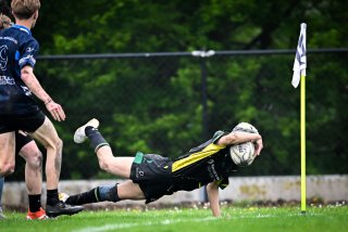 dsc_3350-2.jpg - JPEG - 306.2 ko - 2000×1334 px