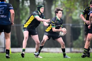 dsc_3377-7.jpg - JPEG - 353.8 ko - 2000×1333 px