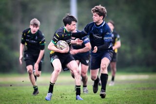 dsc_3393-4.jpg - JPEG - 322.8 ko - 2000×1335 px