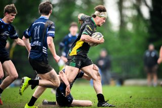 dsc_3399-2.jpg - JPEG - 342.5 ko - 2000×1333 px