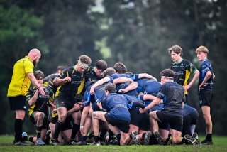 dsc_3404-3.jpg - JPEG - 429.4 ko - 2000×1335 px