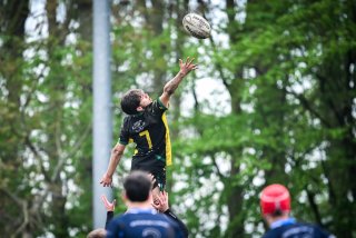 dsc_3416-4.jpg - JPEG - 332.7 ko - 2000×1333 px