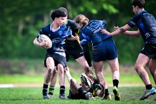 dsc_3450-3.jpg - JPEG - 372.5 ko - 2000×1335 px