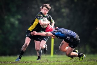 dsc_3467-4.jpg - JPEG - 294.2 ko - 2000×1332 px