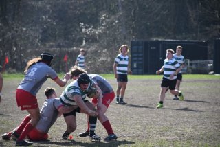 dsc_3496-4.jpg - JPEG - 324.3 ko - 2000×1333 px