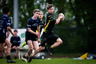 dsc_3520-4.jpg - JPEG - 283 ko - 2000×1332 px